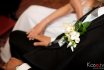 Svadba :: sez&oacute;na 2013
